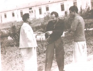 תמונה